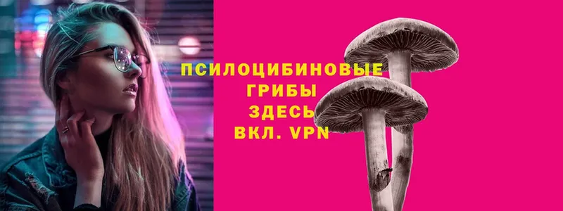 блэк спрут tor  купить наркотики цена  Новочебоксарск  Галлюциногенные грибы мицелий 